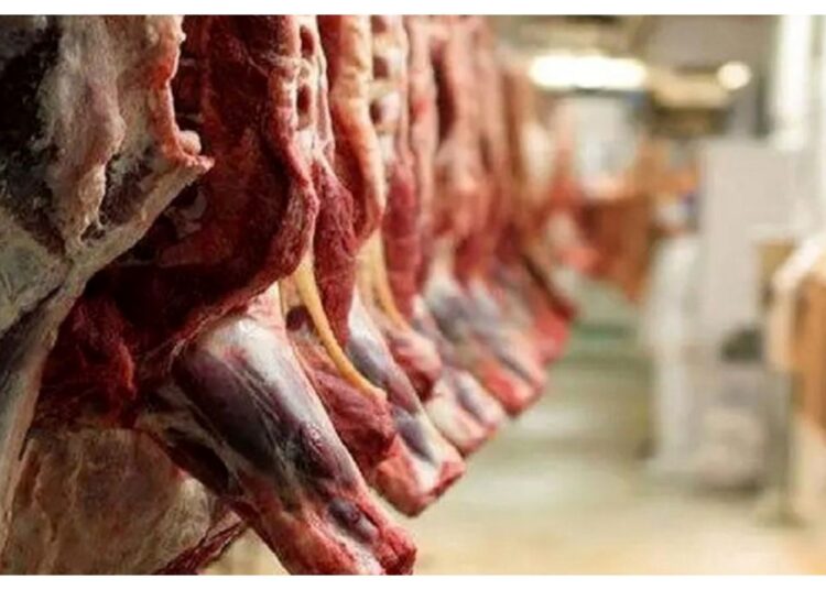 ارزان‌تر از سرزمین اصلی؛ عرضه گوشت و مرغ در «ویلو گوشت» کیش آغاز شد